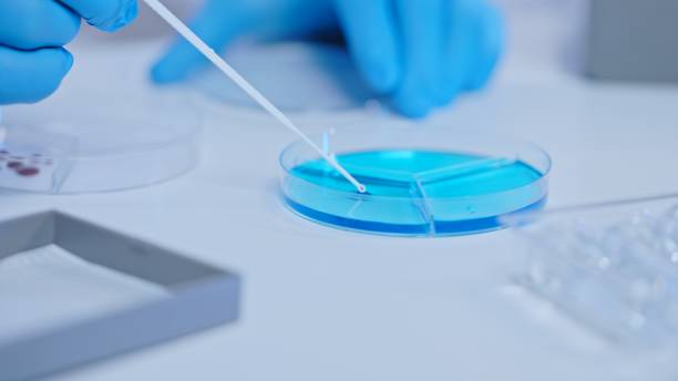 Application And Preparation of Diallyldimethylammonium Chloride(DADMAC)